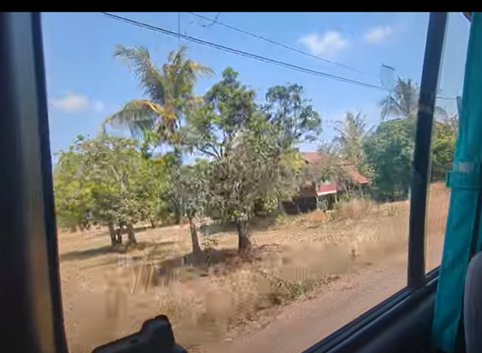 landscape from the car