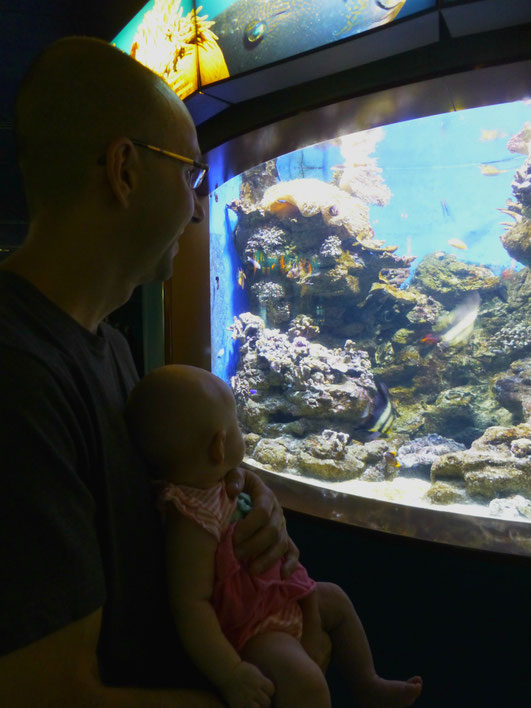 L'Aquarium Barcelona with baby