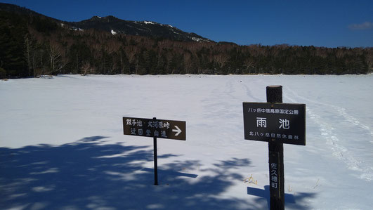 2026年　八ヶ岳　残雪情報