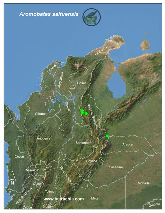 Aromobates saltuensis, distribución en Colombia