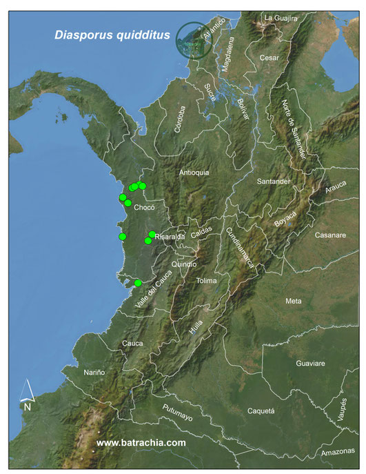 Distribución en Colombia