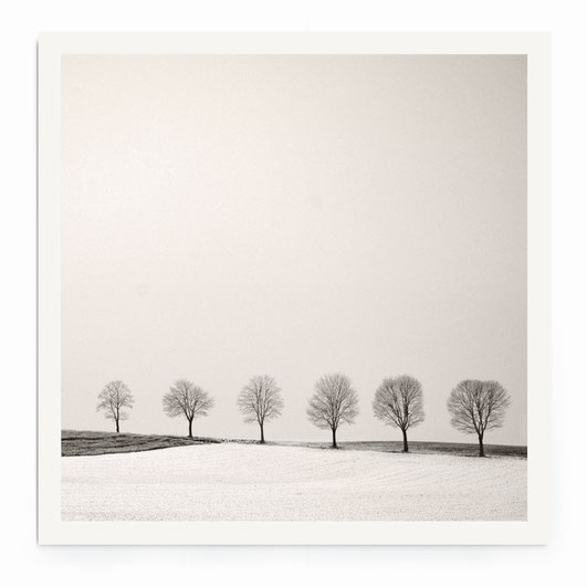 "Tree Line" Art Print. Minimalistische Winterlandschaft mit einer Baumreihe in schwarz-weiß mit warmen Ton.