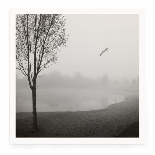 "Deep Fog On Lake" Art Print. Minimalistische Winterlandschaft am See mit einem Baum in schwarz-weiß.