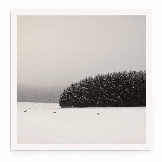 "Winter Scape" - Minimalistische Landschaft mit Rehen in schwarz-weiß.