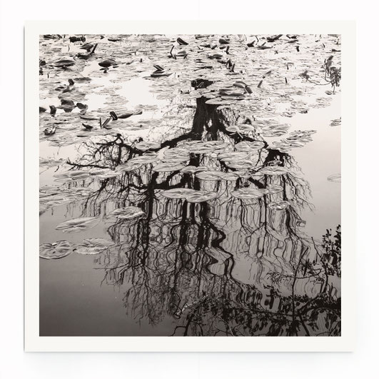 "Flowing Tree" Art Print von Lena Weisbek. Baum Spiegelung im Wasser in schwarz-weiß, im Wabi-Sabi Stil. 