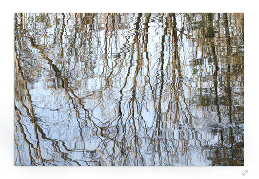 "Floating Lines" Abstraktes Naturbild mit Spiegelungen von Bäumen im Wasser.