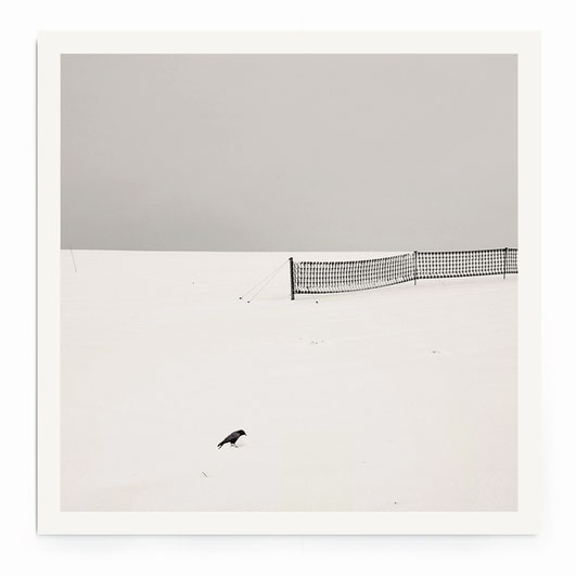 "Tree Line" Art Print. Minimalistische Winterlandschaft mit einer Baumreihe in schwarz-weiß mit warmen Ton.