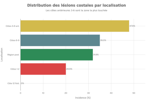 Distribution anatomique des lésions costales et zones d'impact préférentiel
