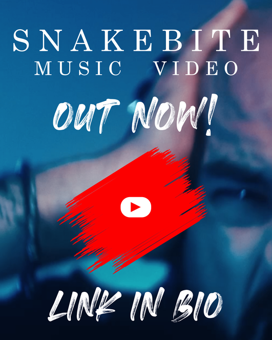 Insanity Inc. new Single Snake Bite out now