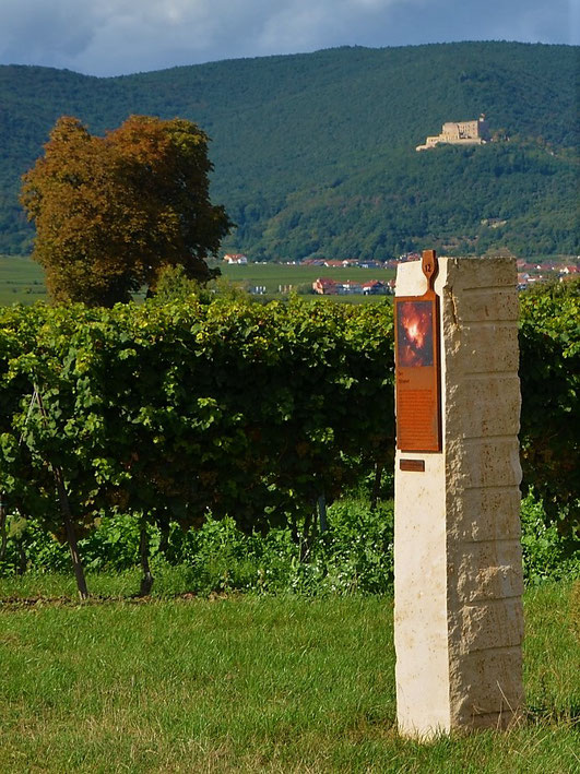 Bibelverweise und im Hintergrund das Hambacher Schloss - der Biblische Weinpfad gibt Ein- und Ausblicke.