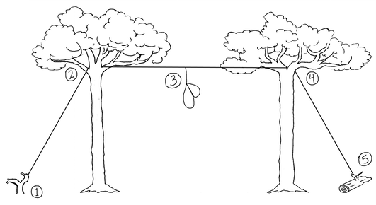 the two-tree hauling technique 