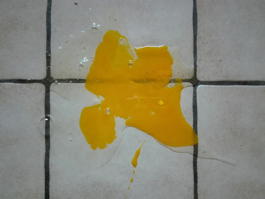 Ei auf dem Boden, Kraftquelle, Kochen mit Kindern