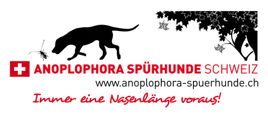 Spürhunde Schadorganismen Schweiz