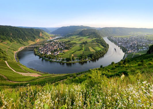 Flusskreuzfahrt Rhein 2026