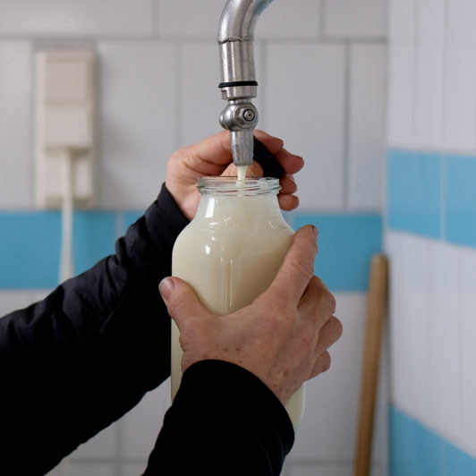 Milchtankstelle Alkersum auf Föhr