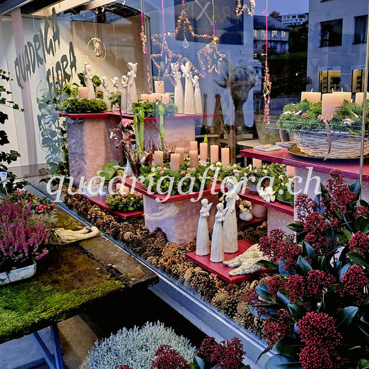 Natürliche Kunst, in Handarbeit erstellt. Gekauft im Blumengeschäft Quadriga Flora in Meggen Luzern. Frische Adventskränze, in rund-, in längs-, in Stern-Formen in diversen Farben.