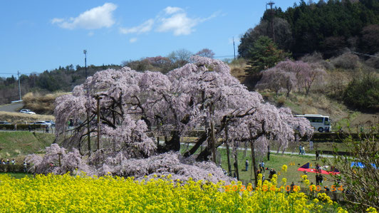 仙台里山ハイキングクラブ