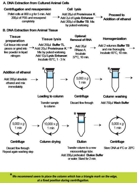 Tissue DNA Isolation and Extraction Kit GeneONBioScience