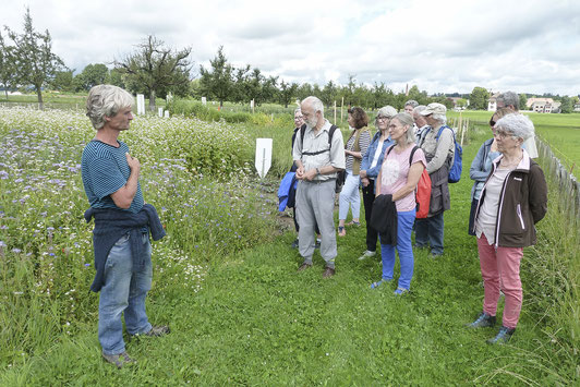 Auf der Hälfte des Weltackers wachsen nur vier Pflanzenarten: Weizen, Mais, Reis und Sojabohnen. Foto: Georg Ledergerber