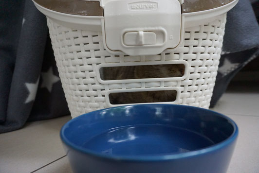 Als Inhalationslösung eignet sich am Besten heißes Wasser mit Meersalz