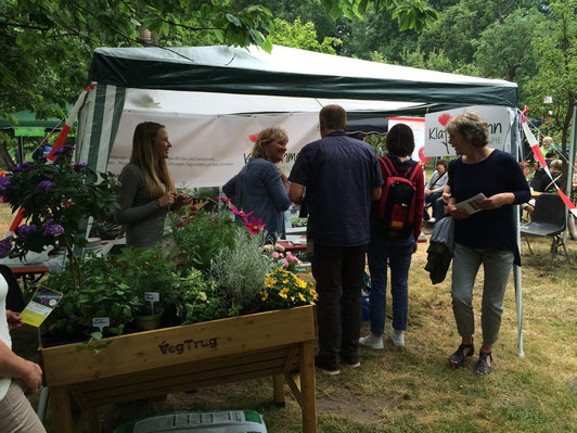 Unser Stand beim Umwelt-Tag der Heerser-Mühle in Bad Salzuflen im Juni 2015