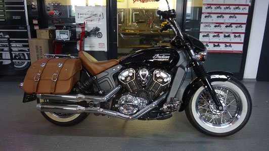 INDIAN SCOUT ROGUE