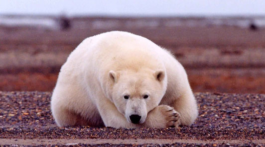 Deutschland Klimaziel 2020