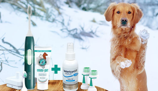 Emmi Pet von Emmi-Ultrasonic die Ultraschall Zahnbürste für Hunde.