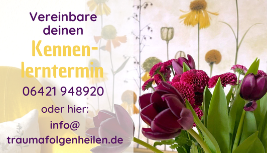 Traumatherapie Geburtsttrauma Informationsgespräch