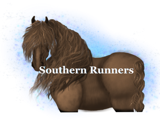 southern-runnerss Webseite!