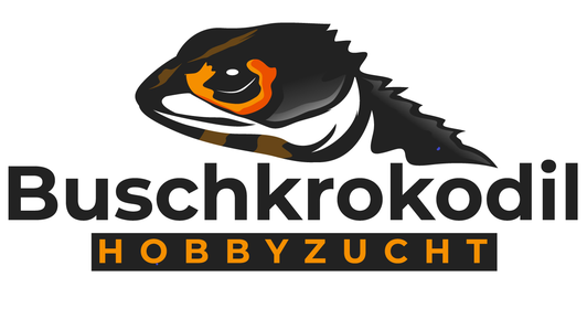 Buschkrokodil Hobbyzucht - Schweizer Zucht seit 2014
