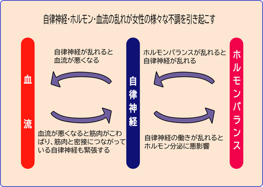 自律神経・ホルモン・血流の乱れが女性の様々な不調を引き起こす