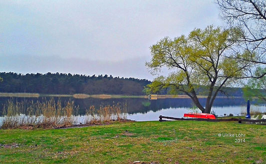 Havelufer bei Briest