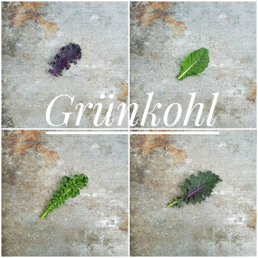 Purple Curly, Toskanischer, Green Curly, Siberischer Grünkohl