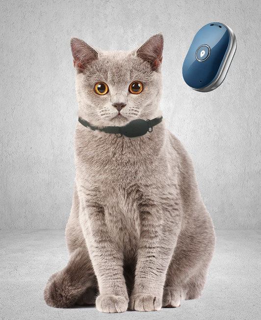 Reptrek® MINITREK GPS tracker voor kat & hond zonder abonnement