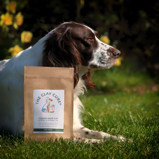 Green Healing Clay for Dogs, Cats & Pets The Clay Cure Co.