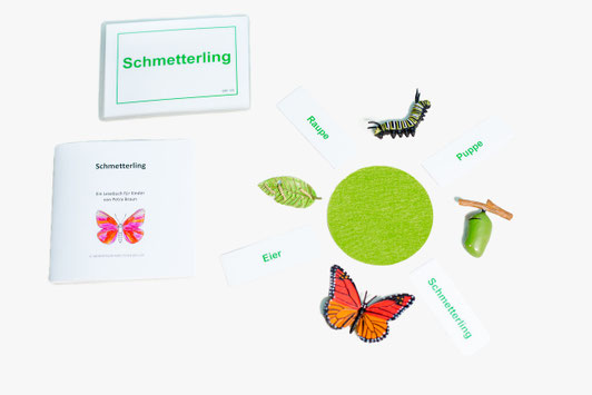 BM115: Lebenszyklus Schmetterling - Montessori-Raritäten - Montessori