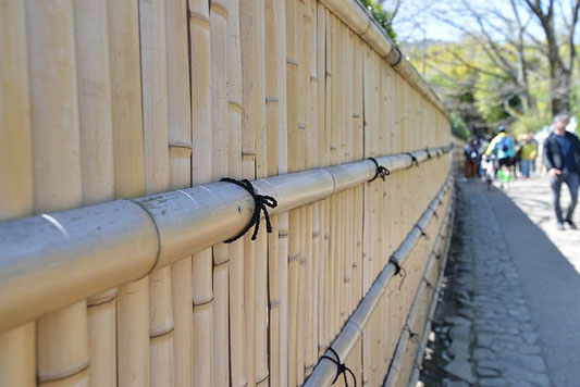 Clôture  mur de bambou 