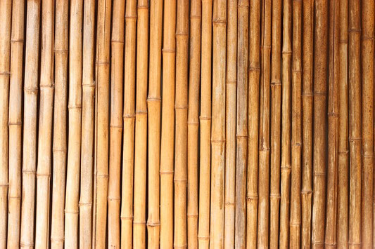 panneaux et placage en bambou 