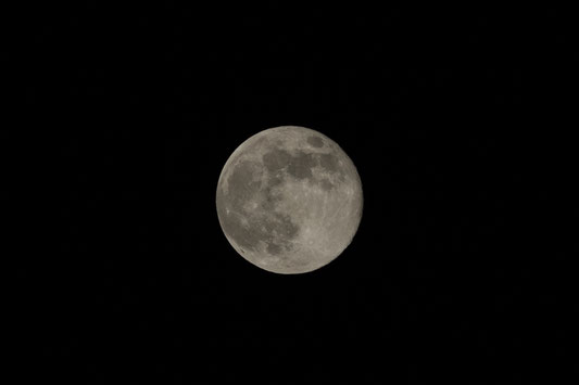 2019年3月22日未明の月