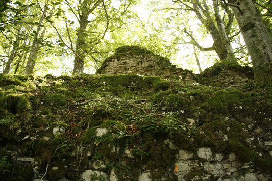 Le mur nord du château de Rougemont