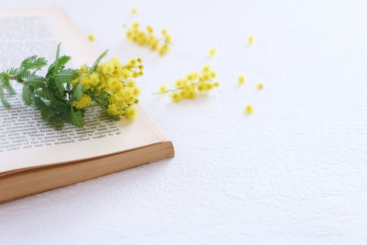 ページがめくられた洋書のうえにミモザの花。