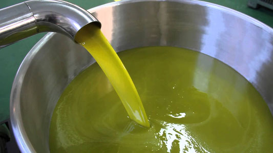 Benvenuti su olioextraverginediolivapuglia!