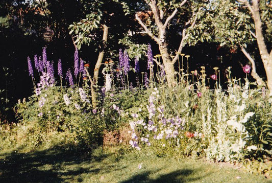 Meine Mutter war Gartenarchitektin.