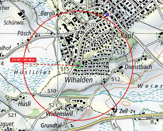 (Screenshot bubik-ohne-5g.ch)