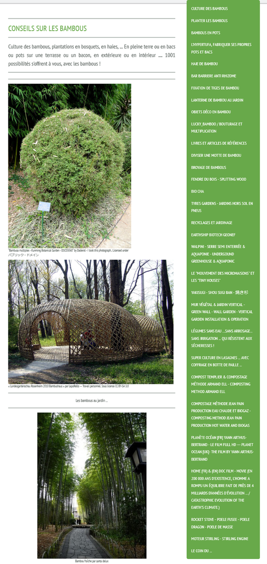 Menu latéral droit -  Conseil / 2Bamboo - https://2bamboo.jimdo.com/conseils/