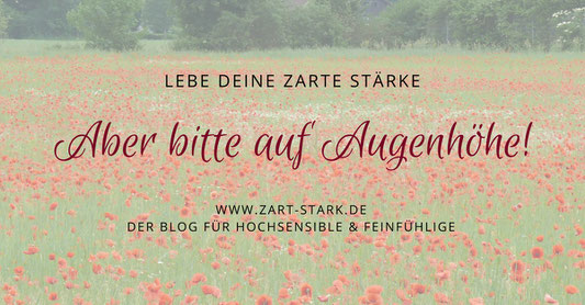 Foto blühende Mohnpflanzen
