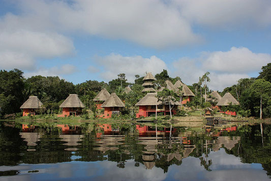 Regenwald Ecuador: nachhaltiges Napo Wildlife Center NWC bei ECUADORline buchen