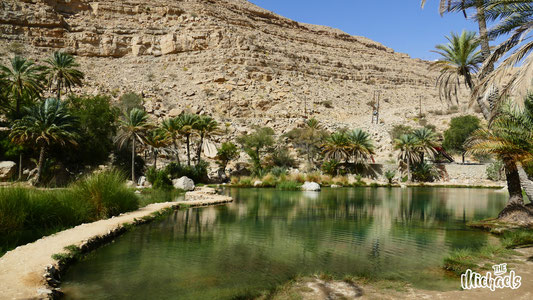 The MIchaels, Oman Individuell, Rundreise Oman zu Wadis und Wüste