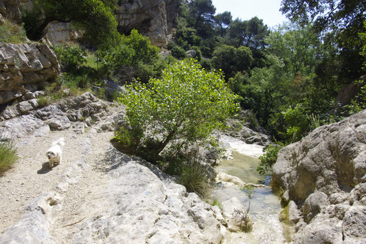 Près de Lafare dans le Vaucluse